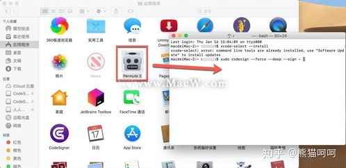 苹果电脑软件应用意外退出与崩溃问题全面排查与解决指南